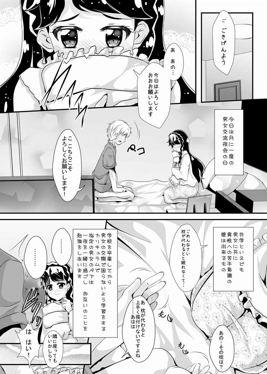 (C89) [MirrorWorld (Mira)] Gakuen no Princess to Kokochiyoi Ichiya o (Go! Princess Precure) page 8 full