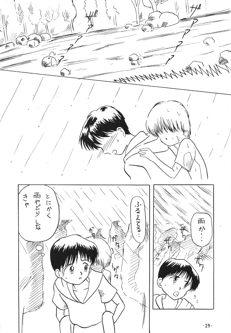 [Himawari Endan] Pokota no Hatsujou (Hime-chan no Ribbon) page 30 full