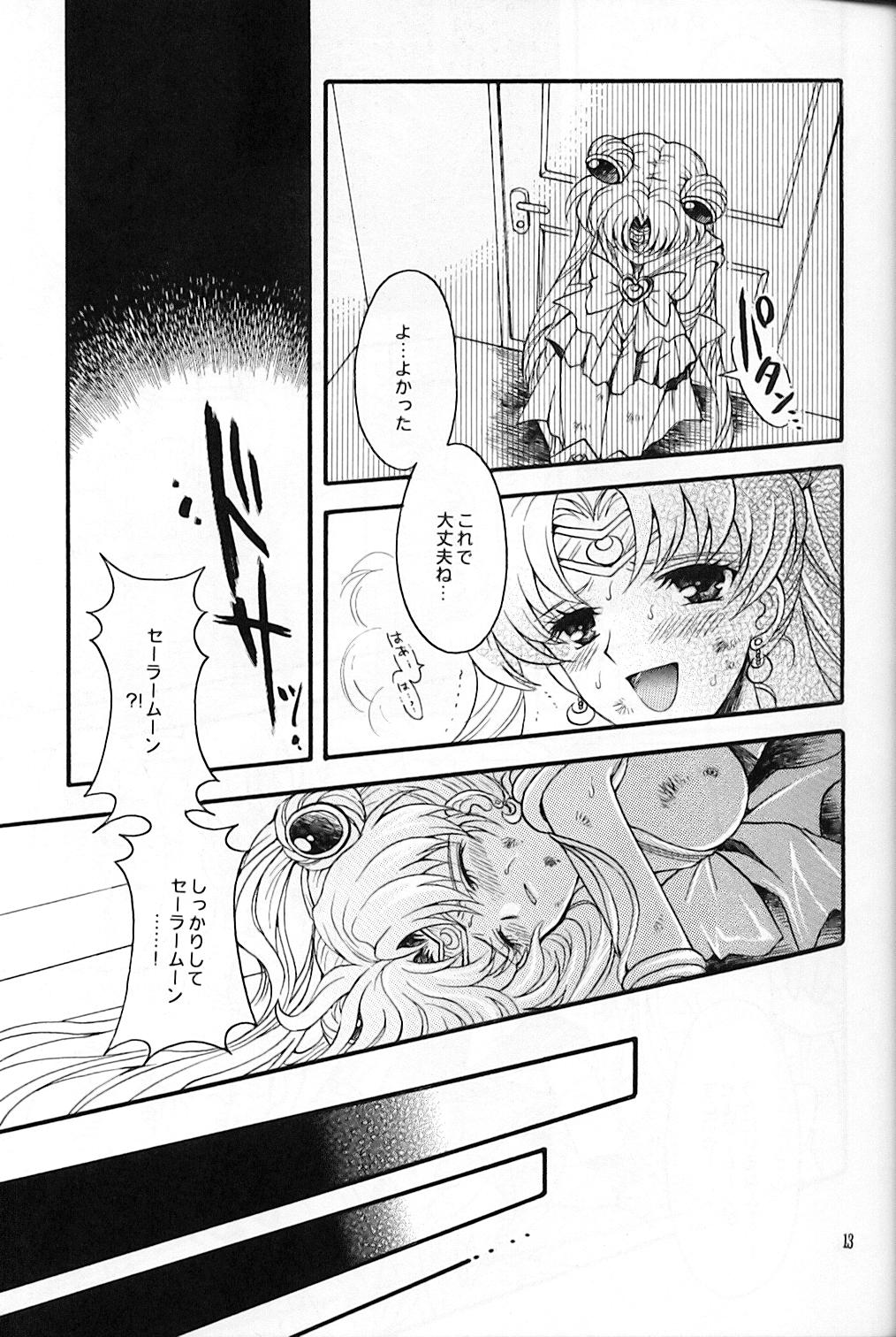 (C67) [Kotori Jimusho (Sakura Bunchou)] chanson de I'adieu (Sailor Moon) page 14 full