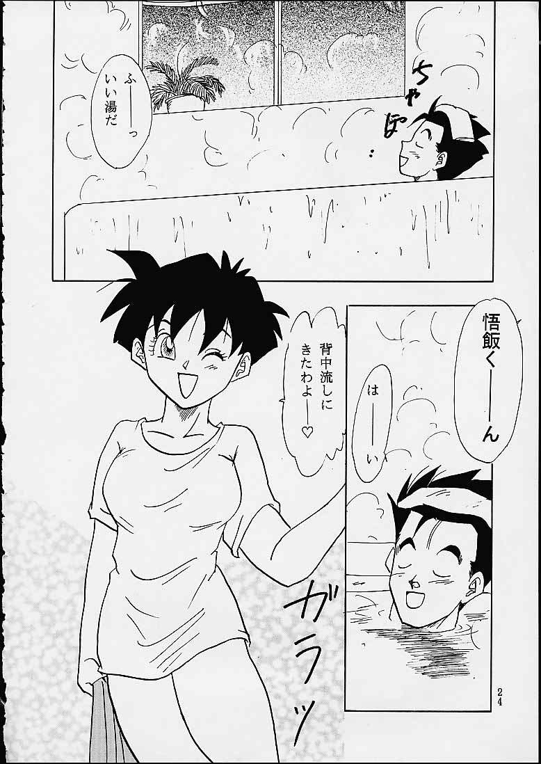 (C49) [Chirigami Goya / Fusuma Goten] Z (Dragonball) page 24 full