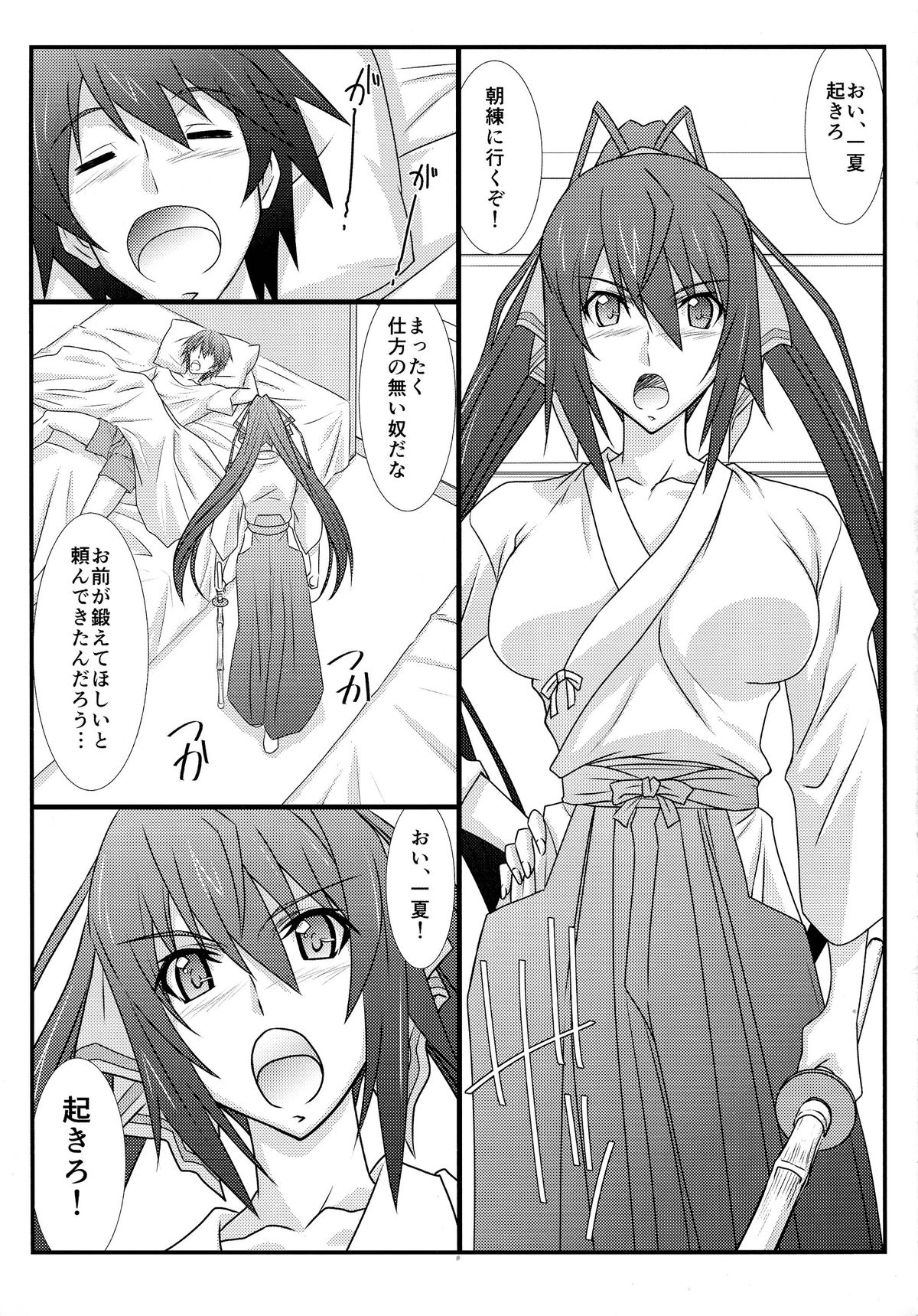 (C85) [STUDIO TRIUMPH (Mutou Keiji)] Astral Bout Ver. 27 (IS <Infinite Stratos>) page 4 full