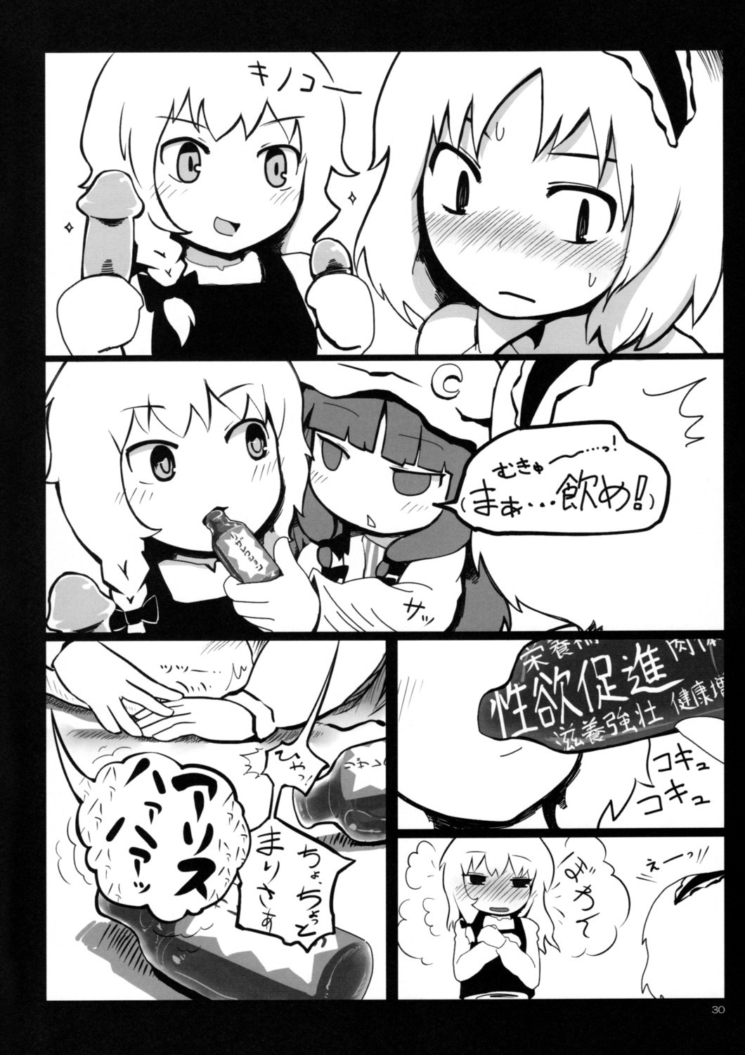 (Kouroumu 3) [Tonkotsu (Sekiri, Yassy)] Alice Idiri (Touhou Project) page 29 full