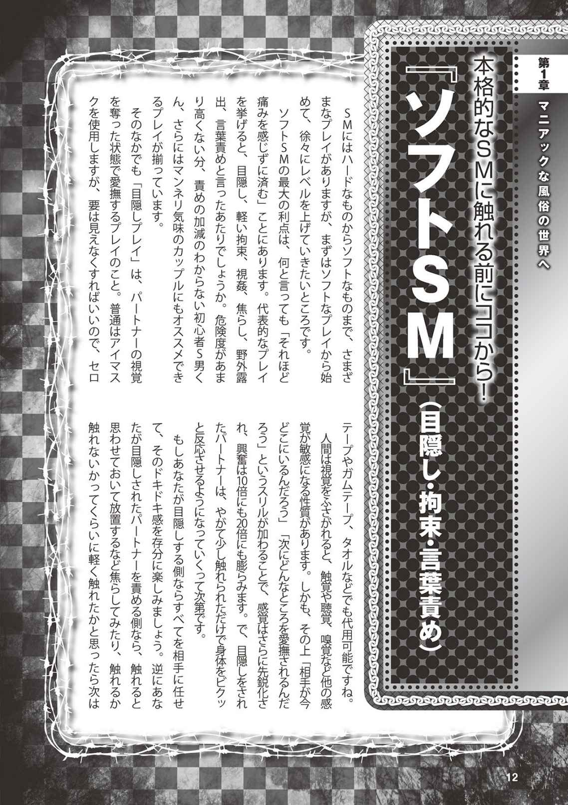 アブノーマル風俗入門 ラブドール風俗から、1000万円の風俗嬢まで page 14 full