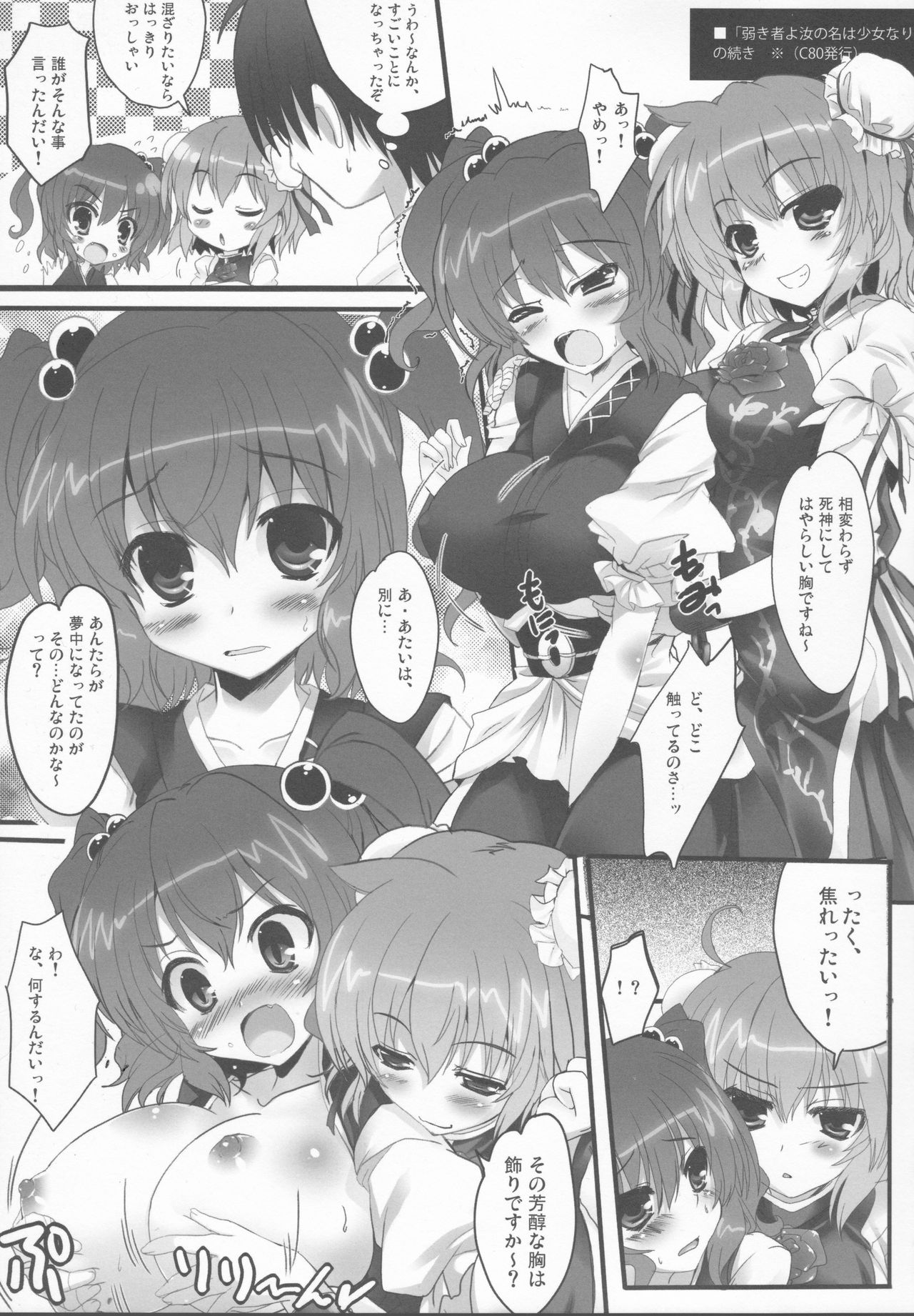 (CT21) [HappyBirthday (MARUchang)] Yowakimono yo, Nanji no Na wa Shoujo Nari. 2 (Touhou Project) page 4 full