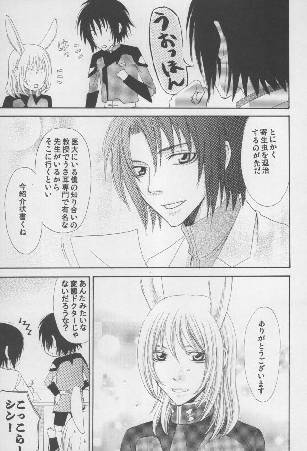 (C68) [Mutsuharu (Kagami Haruki)] Nekomimi Zouryouchuu (Gundam SEED DESTINY) [Incomplete] page 38 full