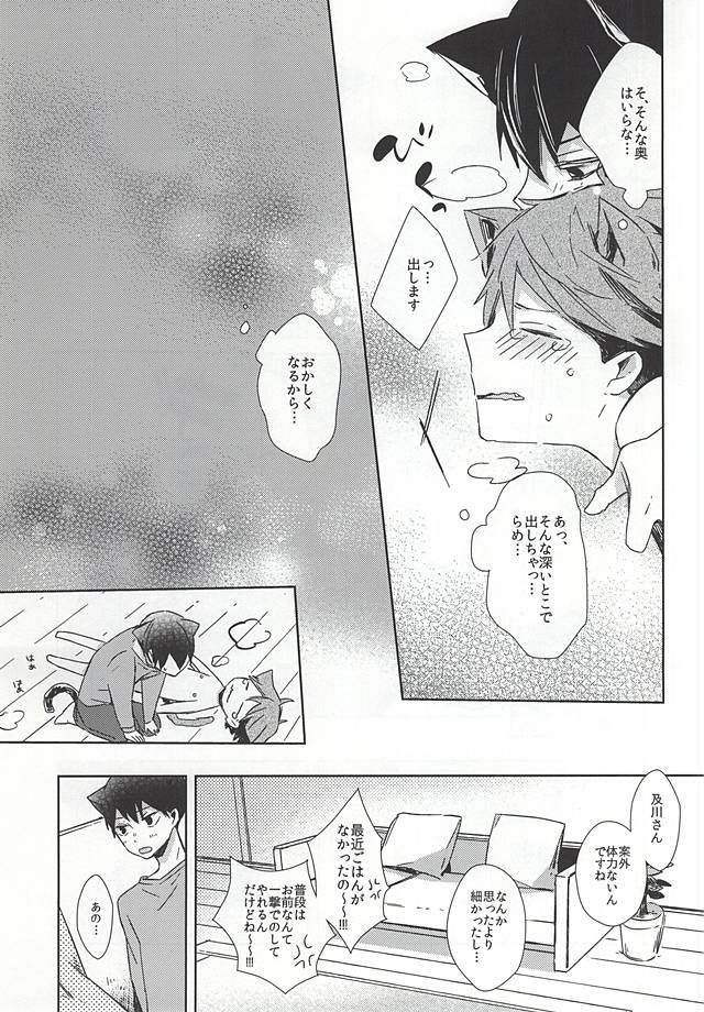 (RTS!!5) [Shounen-H (Yuuki)] Neko ni Natta Oikawa-san (Haikyuu!!) page 28 full