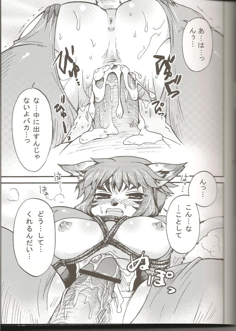 (C75) [PINK VENUS (Suma Miru)] END SUN (Final Fantasy XI) page 18 full