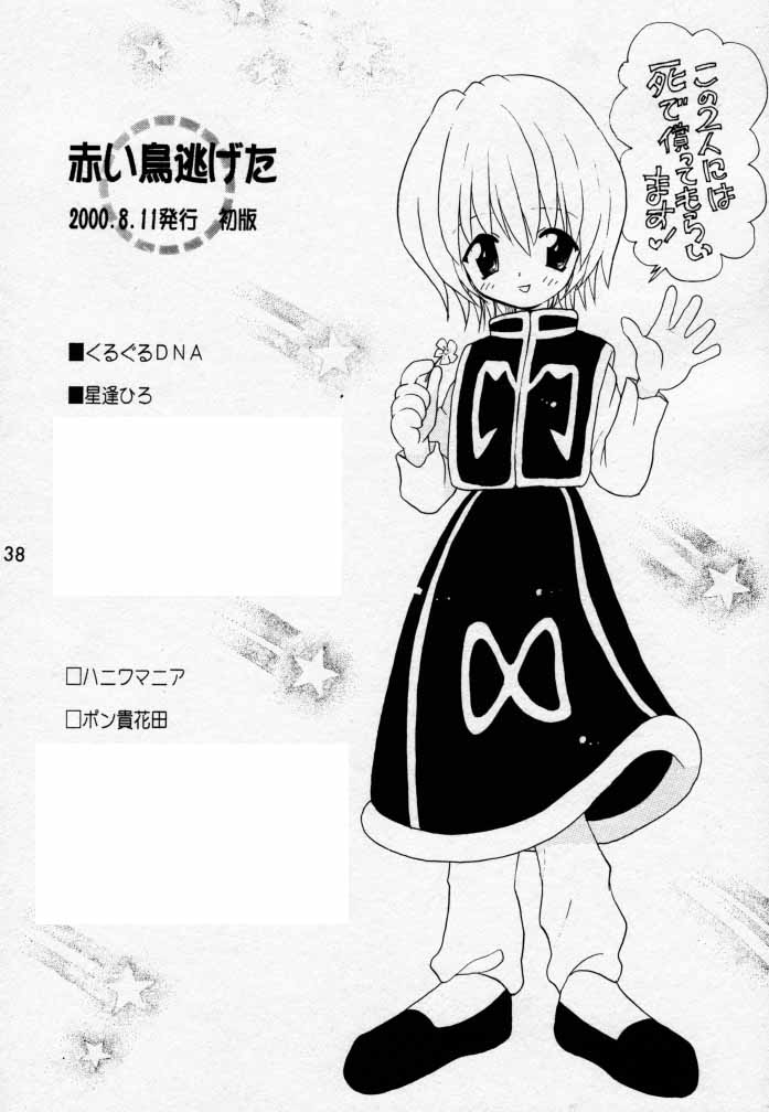 (C58) [KuruGuru DNA, Haniwa Mania (Hoshiai Hilo, Pon Takahanada)] Akai Tori Nigeta (Hunter x Hunter, Neon Genesis Evangelion) page 37 full