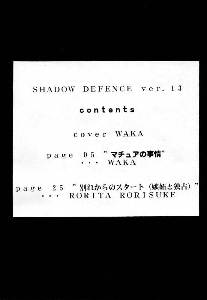 [TAIL OF NEARLY] Shadow Defense 13 (Cowboy Bebop, King of Fighters) page 3 full