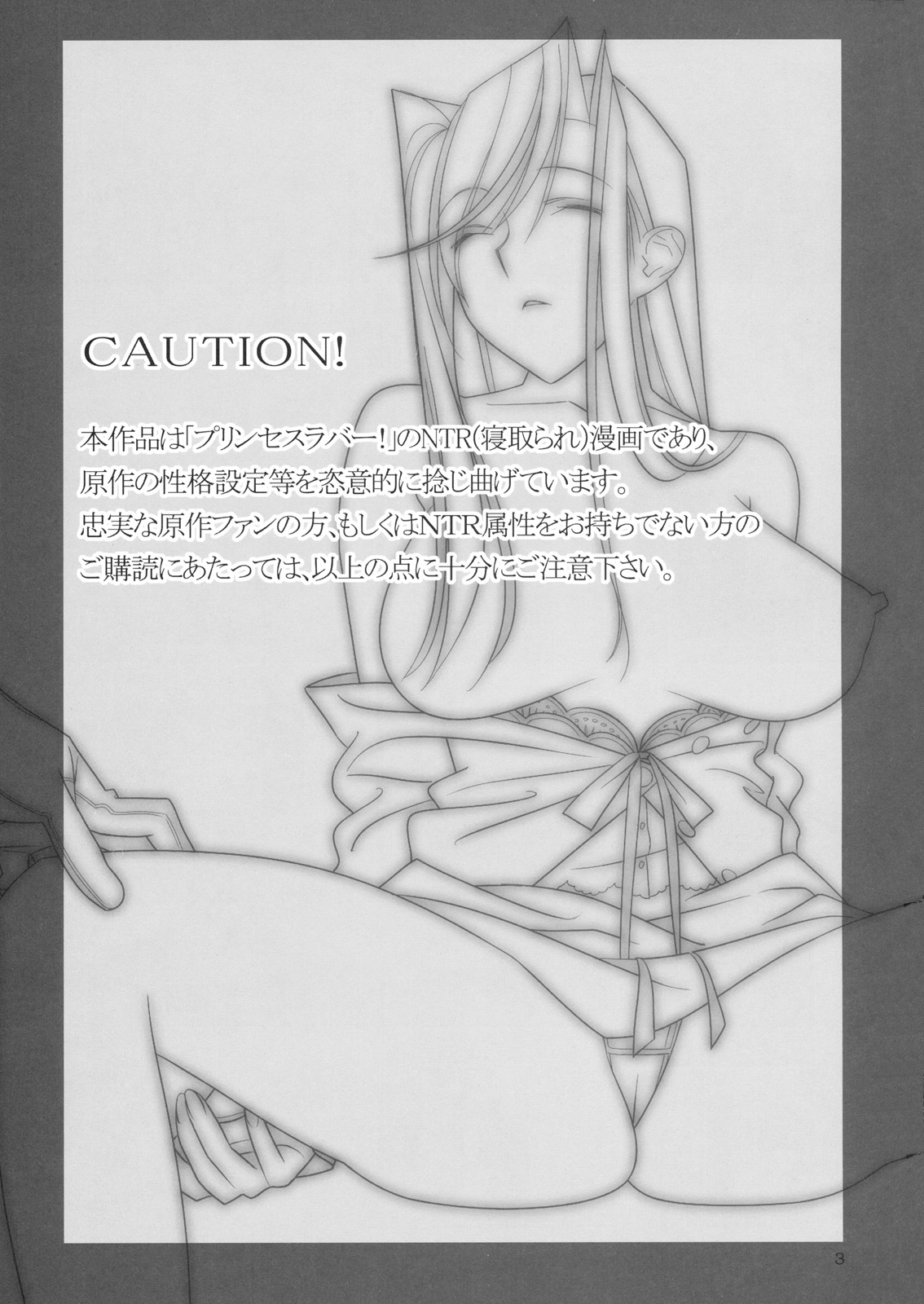 (C77) [Hito no Fundoshi (Yukiyoshi Mamizu)] Admired beautiful flower. 2 ~Sleeping Princess~ (Princess Lover!) [Chinese] page 2 full