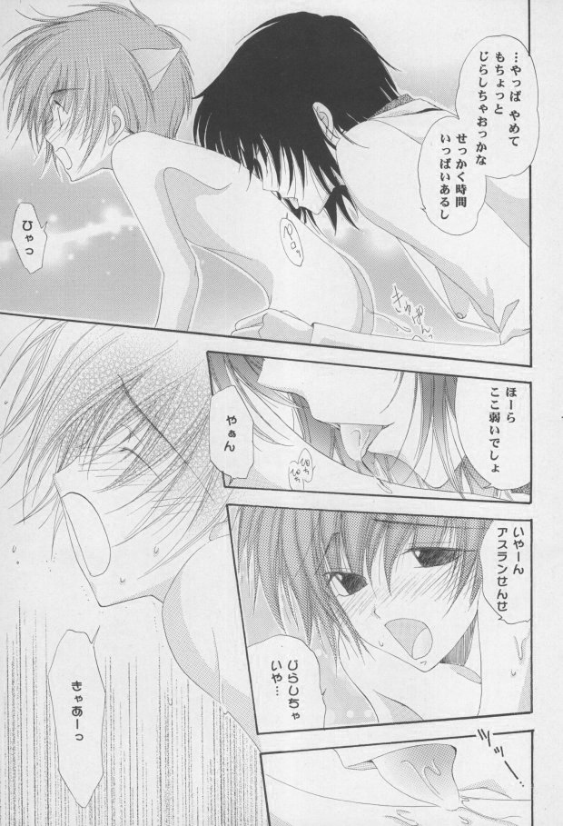 (C68) [Mutsuharu (Kagami Haruki)] Nekomimi Zouryouchuu (Gundam SEED DESTINY) [Incomplete] page 10 full