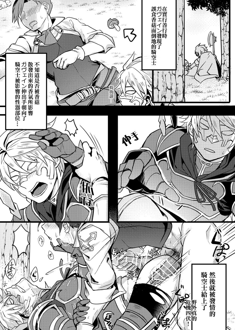 [108. (HAGANE)] GBFRAKUGAKI (Granblue Fantasy) [Chinese] [Digital] page 12 full