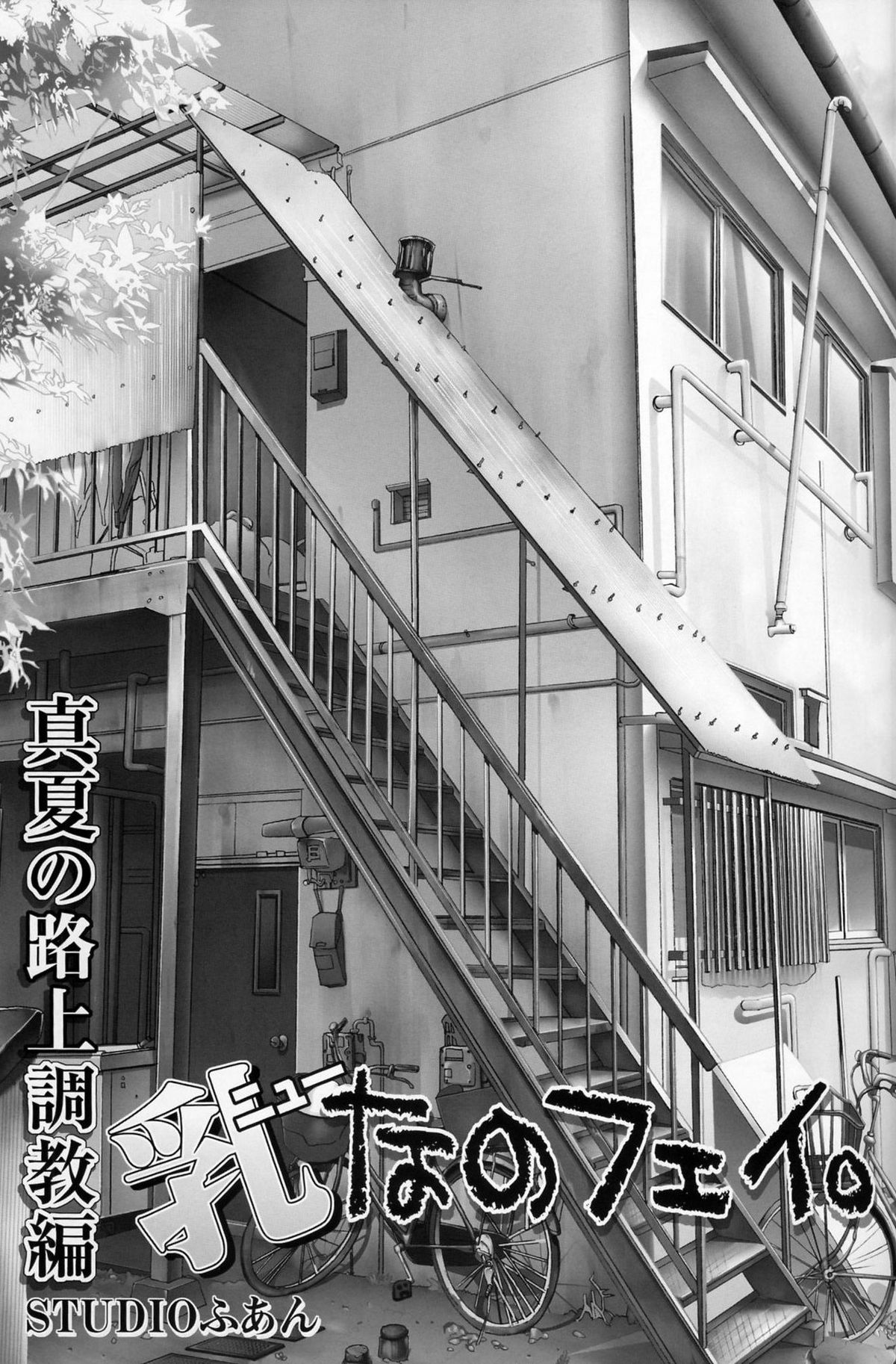 (C74) [STUDIO HUAN (Raidon)] Chichi NanoFei. Manatsu no Rojou Choukyou Hen (Mahou Shoujo Lyrical Nanoha) page 5 full