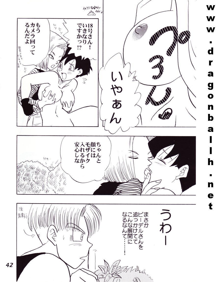 (C52) [Fusuma Goten (Shouji Hariko)] Irohani (Dragonball Z) page 42 full