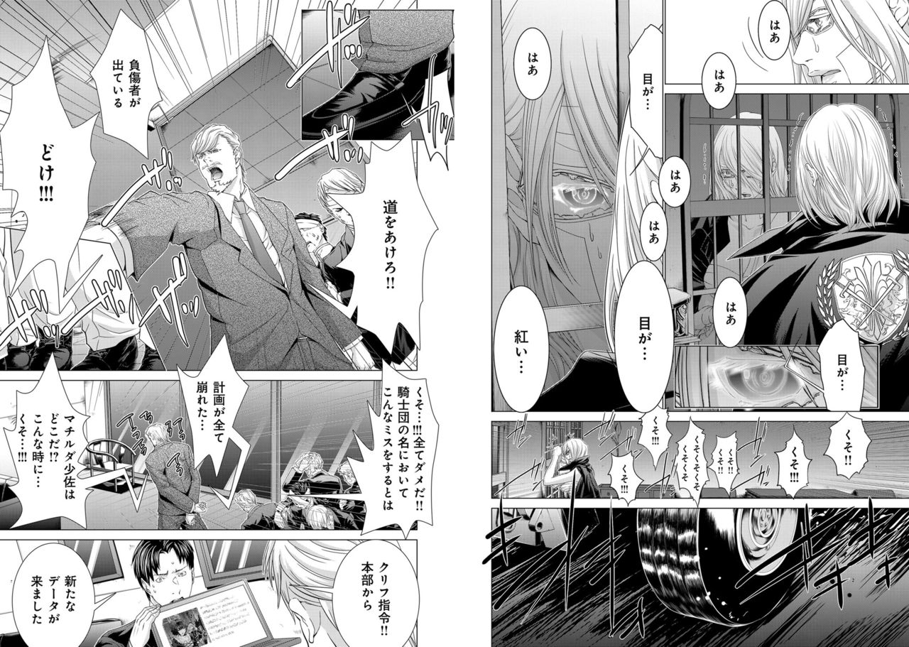 [Miyazaki Maya] Holy Knight ~Junketsu to Ai no Hazama de~ Vol. 11 page 39 full