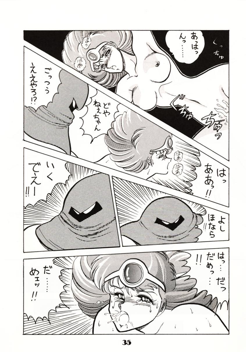 (C39) [Circle Taihei-Tengoku (Towai Raito)] Zone 2 (Kidou Keisatsu Patlabor, Dragon Quest IV) page 34 full