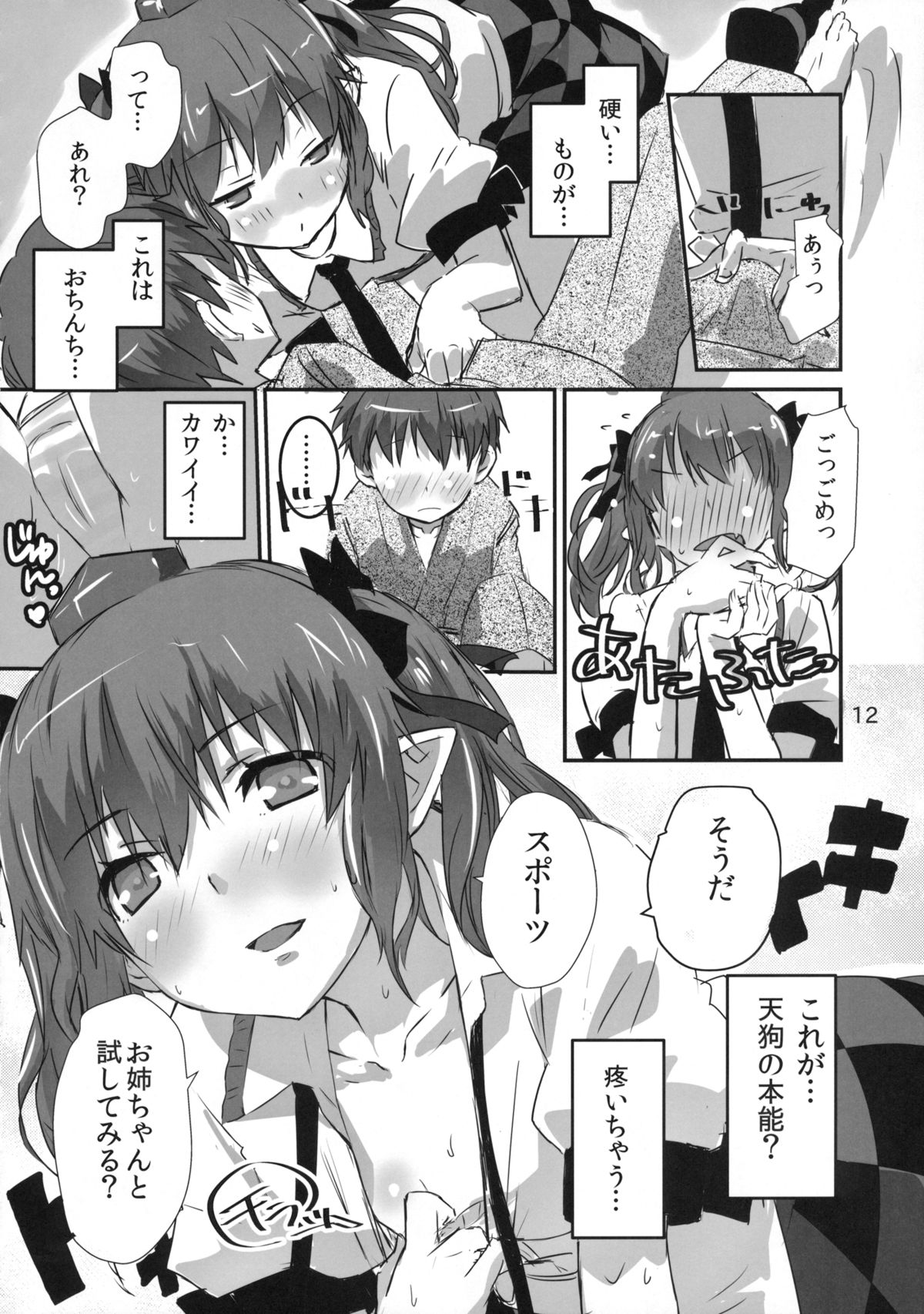 (Reitaisai 12) [Hi-sys. (CL)] Wanchan Hatate Chance (Touhou Project) page 11 full