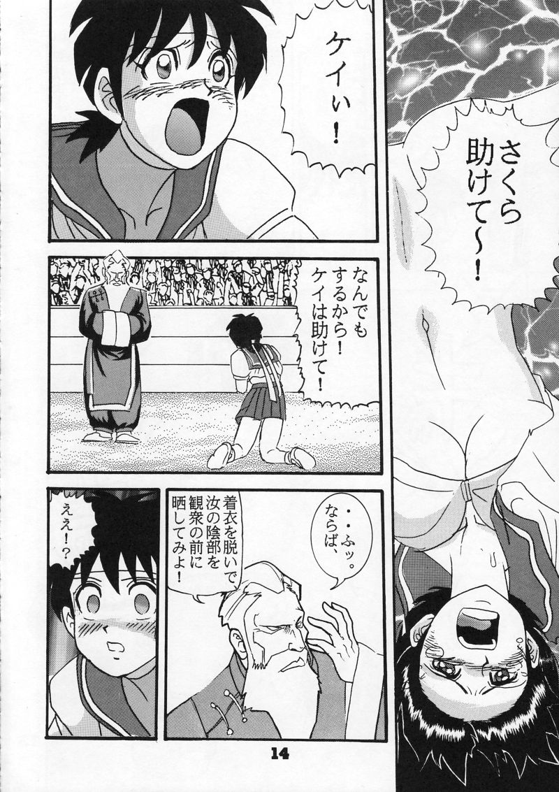 (C54) [Raijinkai (Harukigenia)] Moeyo Sakura (Street Fighter) page 14 full
