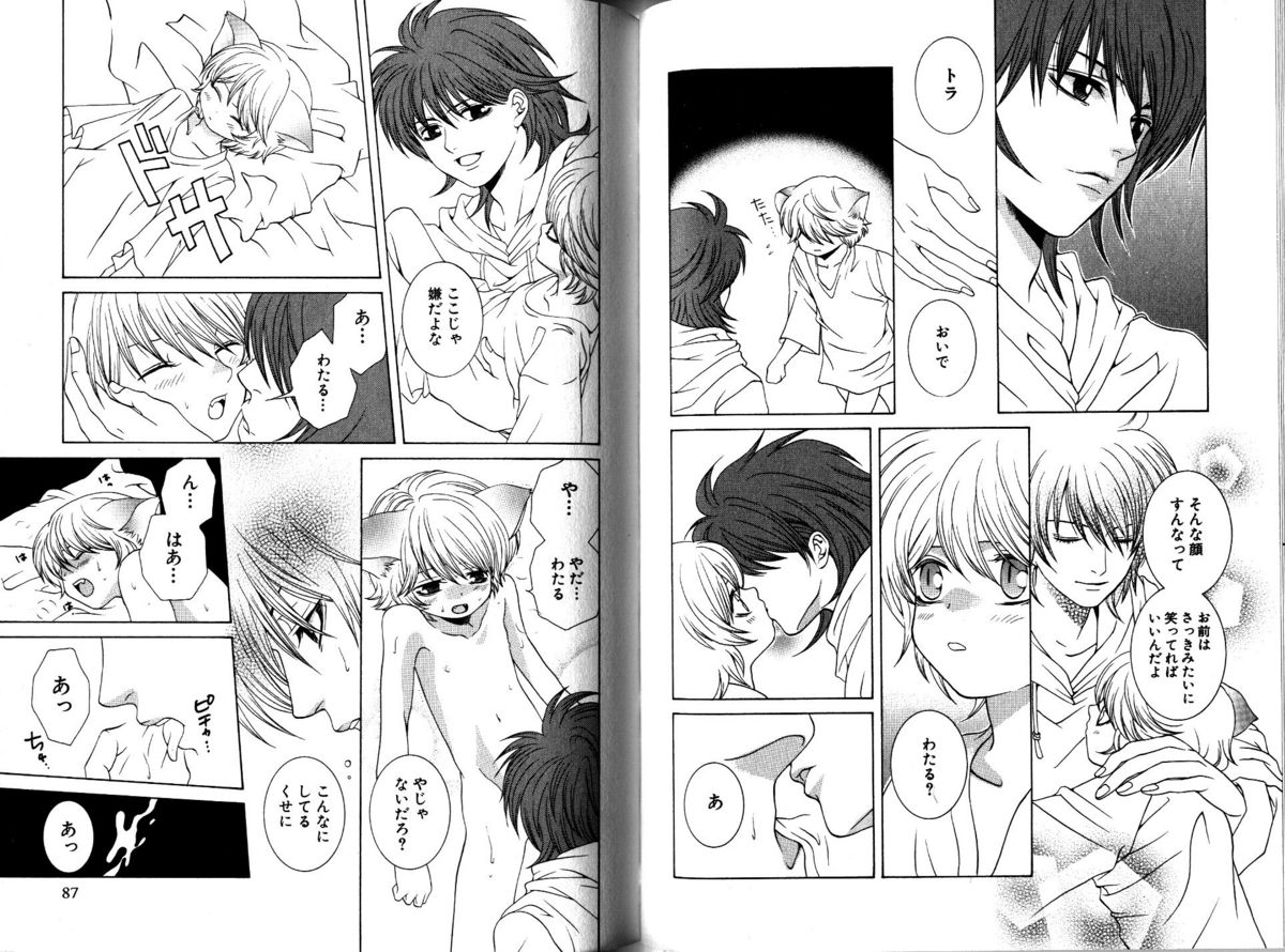 Akana Meiko - Nekokan page 46 full