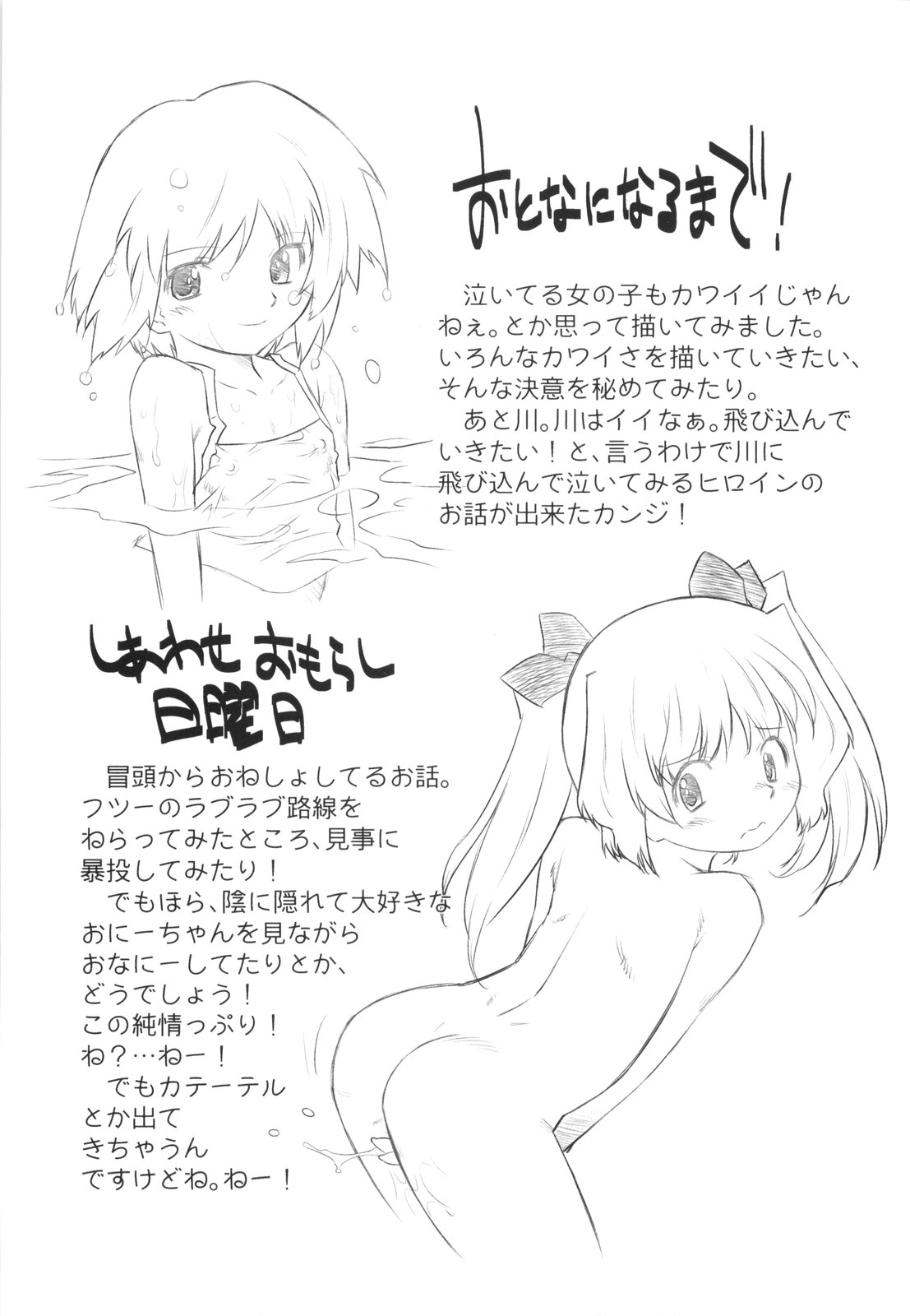 [Oota Takeshi] Secret Little Ecstasy page 207 full