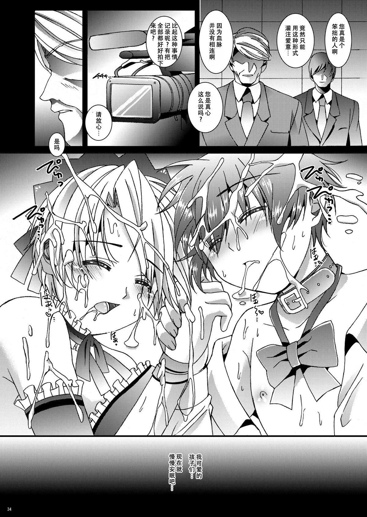 (C81) [InkStone (Amami Ryouko)] HOPE-ACT.02 [Chinese] [旷工汉化组] page 33 full