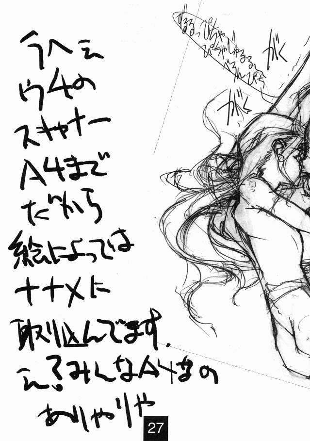 [Mimasaka Hideaki] Swerve Driver page 26 full
