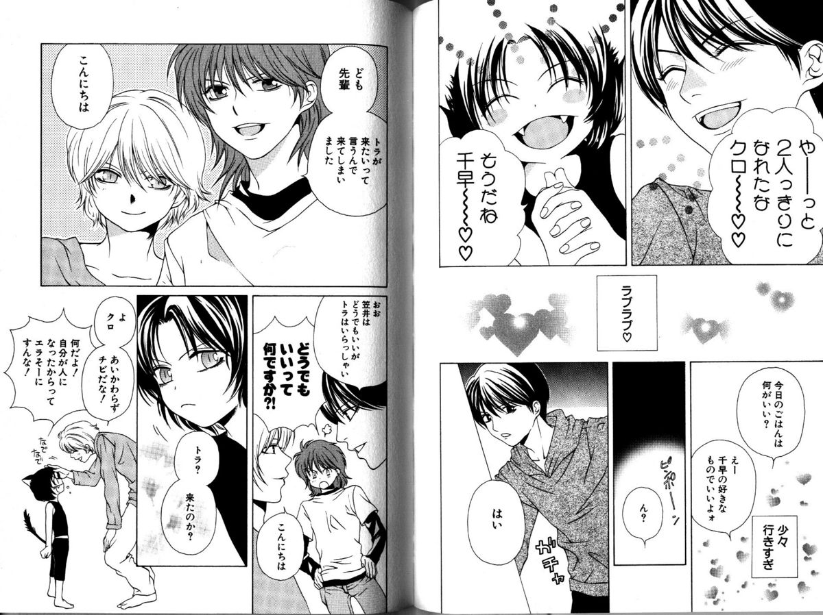 Akana Meiko - Nekokan page 59 full
