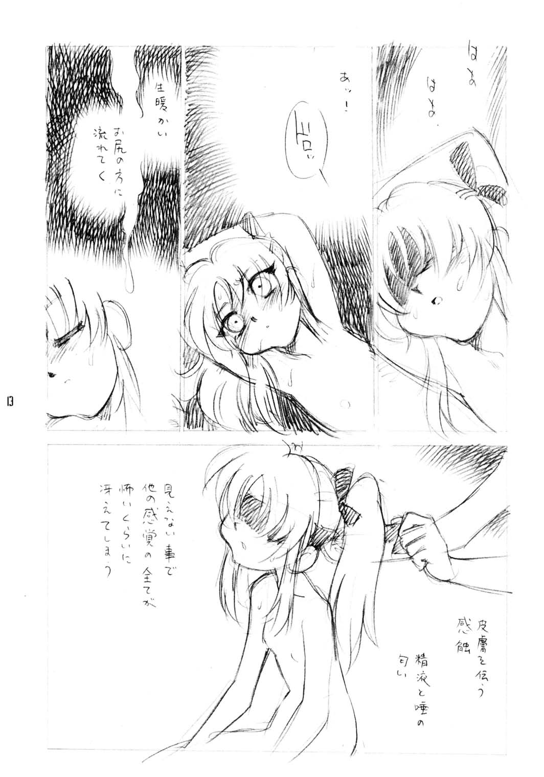 [DPP] usuyami Twillight's Last Gleaming (nadesico) page 13 full