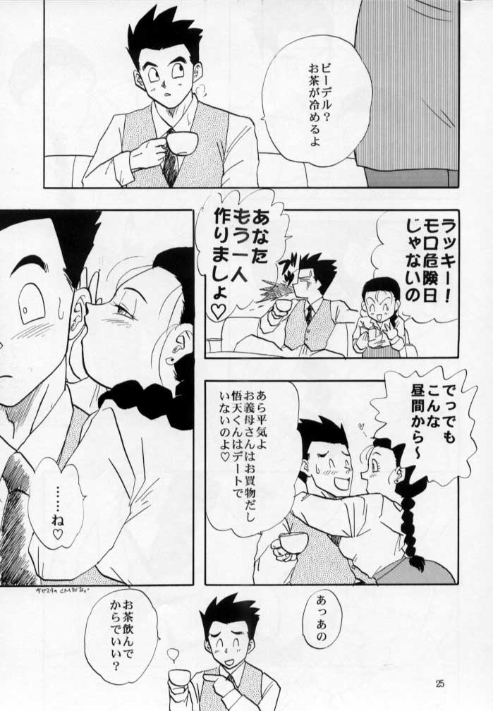 (C53) [Chirigami Goya, Fusuma Goten (Shouji Hariko)] HOHETO (Dragonball) page 26 full