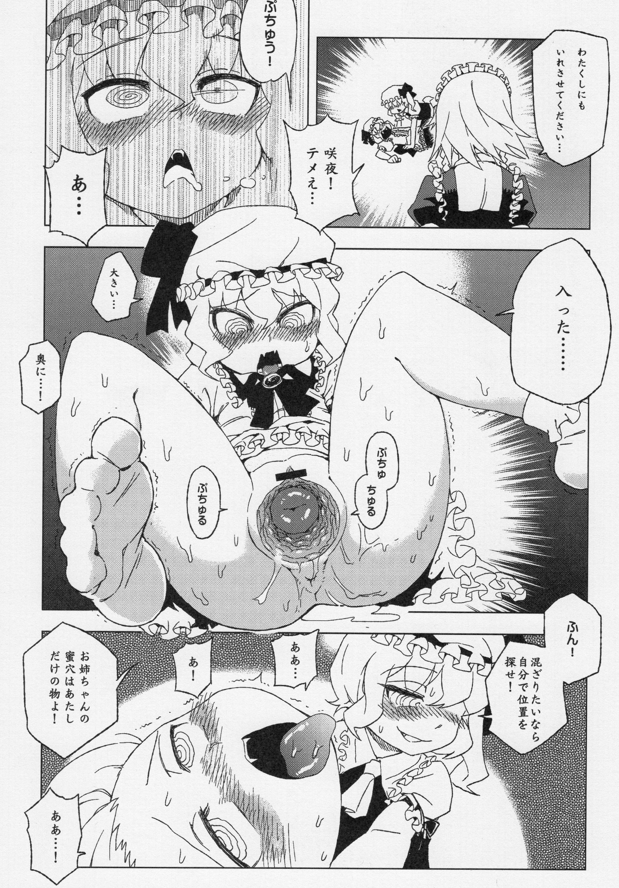 (C81) [Turtle.Fish.Paint (Abi Kamesennin)] Touhou Joku You Tsuki (Touhou Project) page 11 full