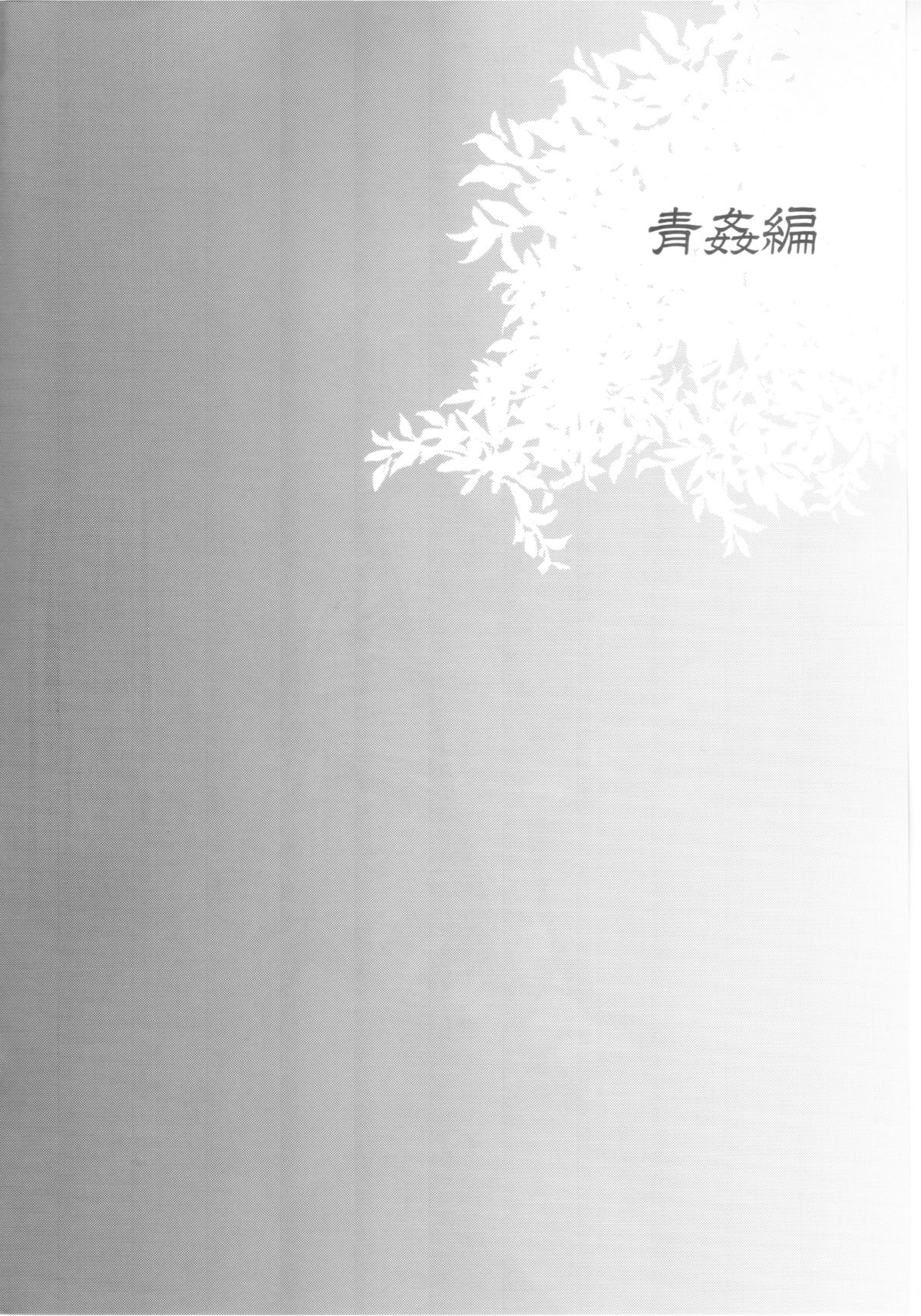 (C87) [Sakusaku Kangen Noushuku (Matashita Kintama)] Haitoku Josou Otouto no Inran Jojishi - Aokan Hen page 3 full