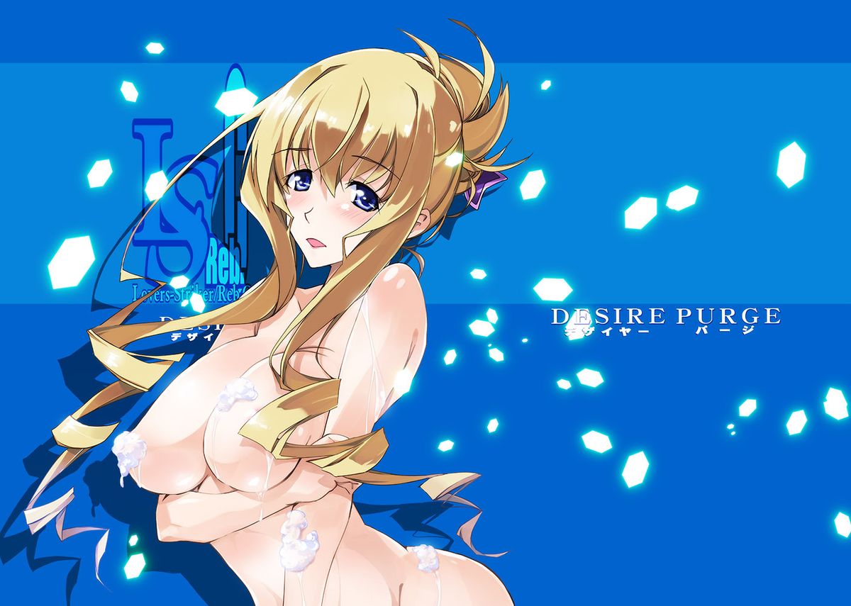 (C88) [Ryu-Seki-Do (Nagare Hyougo)] Desire Purge (IS <Infinite Stratos>) [Sample] page 1 full