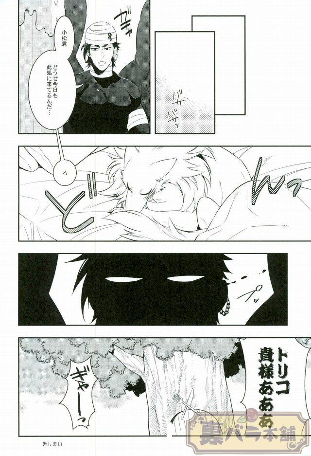 [Transgenics. (Chamame)] Koisuru Penguin (Toriko) page 29 full