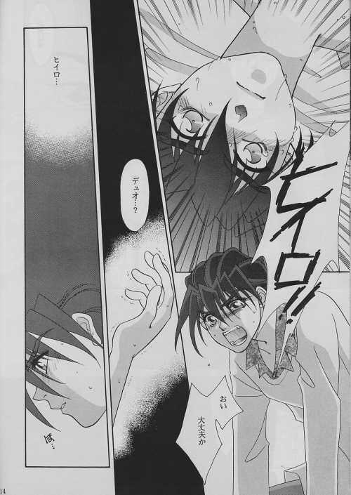 [ALTIR (Kamioka Mikado)] Tetsusabi No Rakuen (Gundam Wing) page 13 full