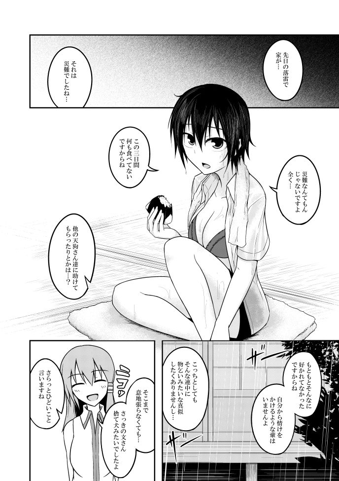 [Lapiz Lazuli Kouseki (Kuroha Rapid)] SANY (Touhou Project) page 5 full