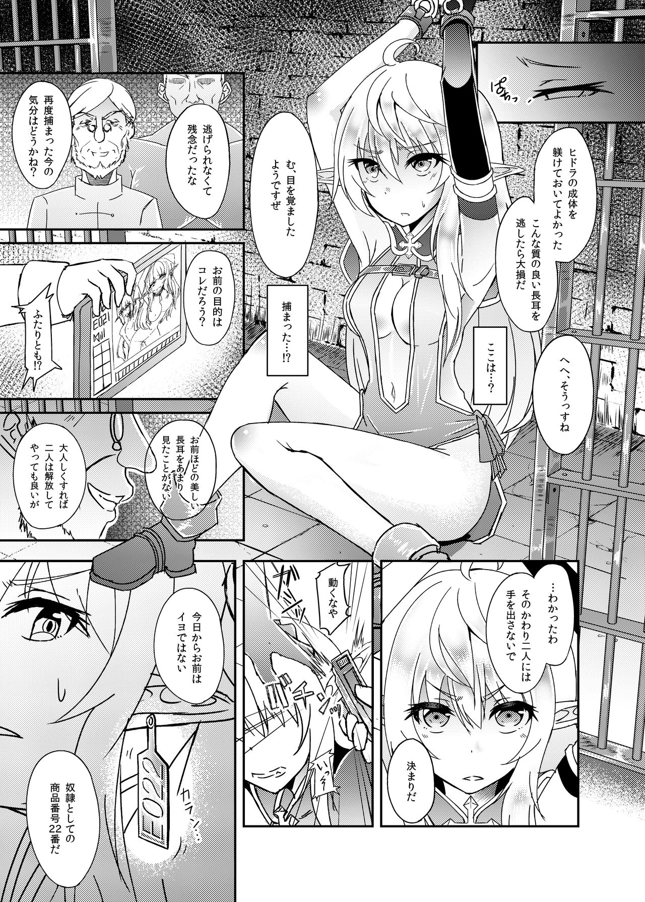 [Hakkindo (Suisui)] Toubou ELF [Digital] page 5 full