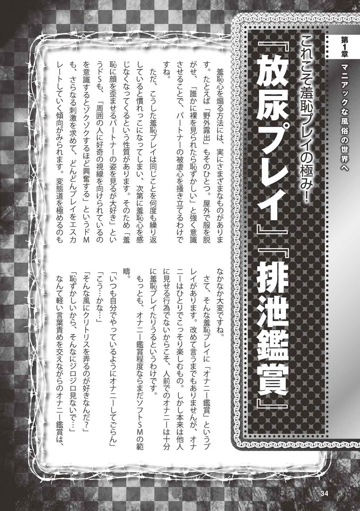 アブノーマル風俗入門 ラブドール風俗から、1000万円の風俗嬢まで page 36 full