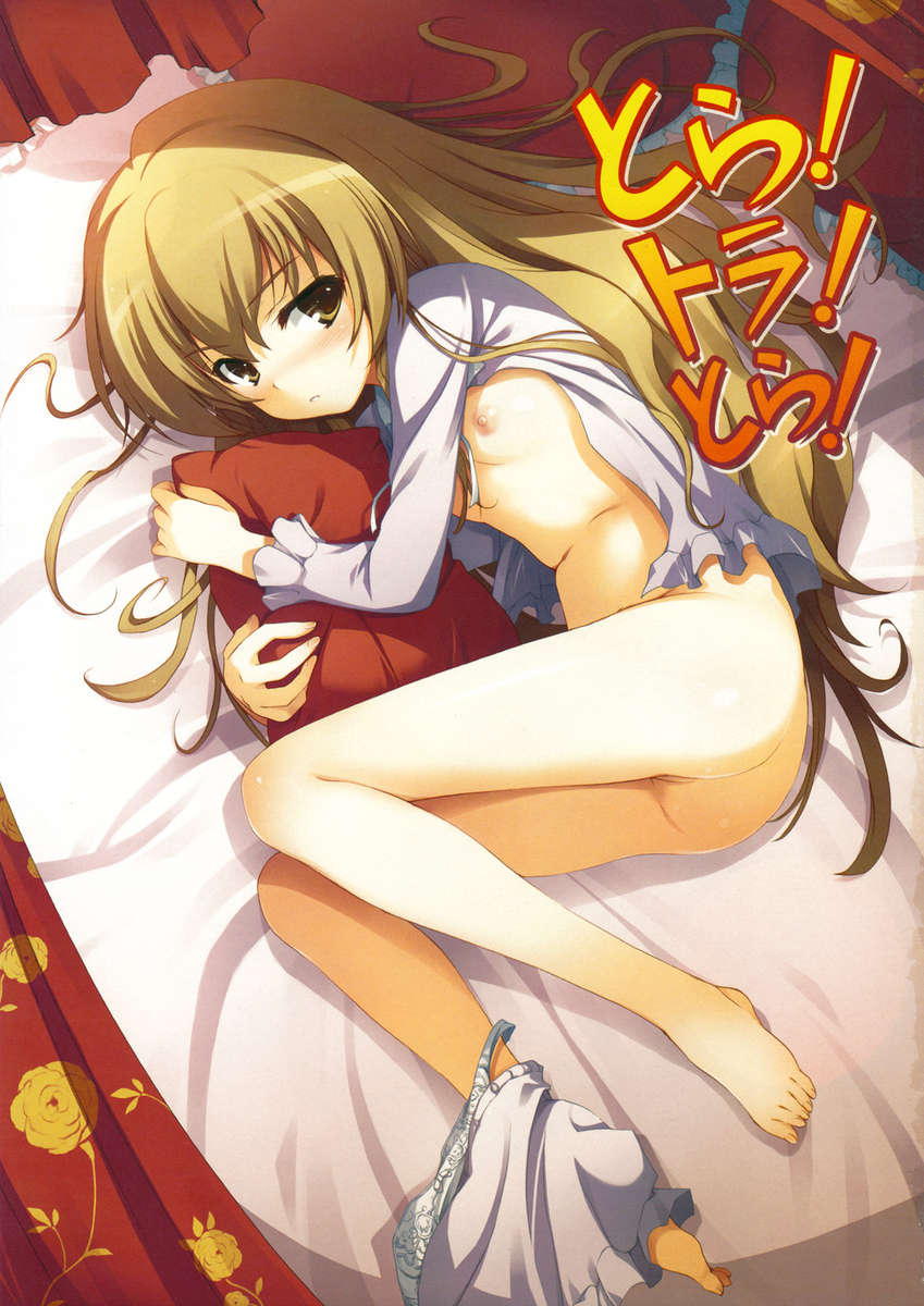 (C75) [MugenKiDou A (Tomose Shunsaku)] Tora! Tora! Tora! (Toradora!) [English] page 2 full