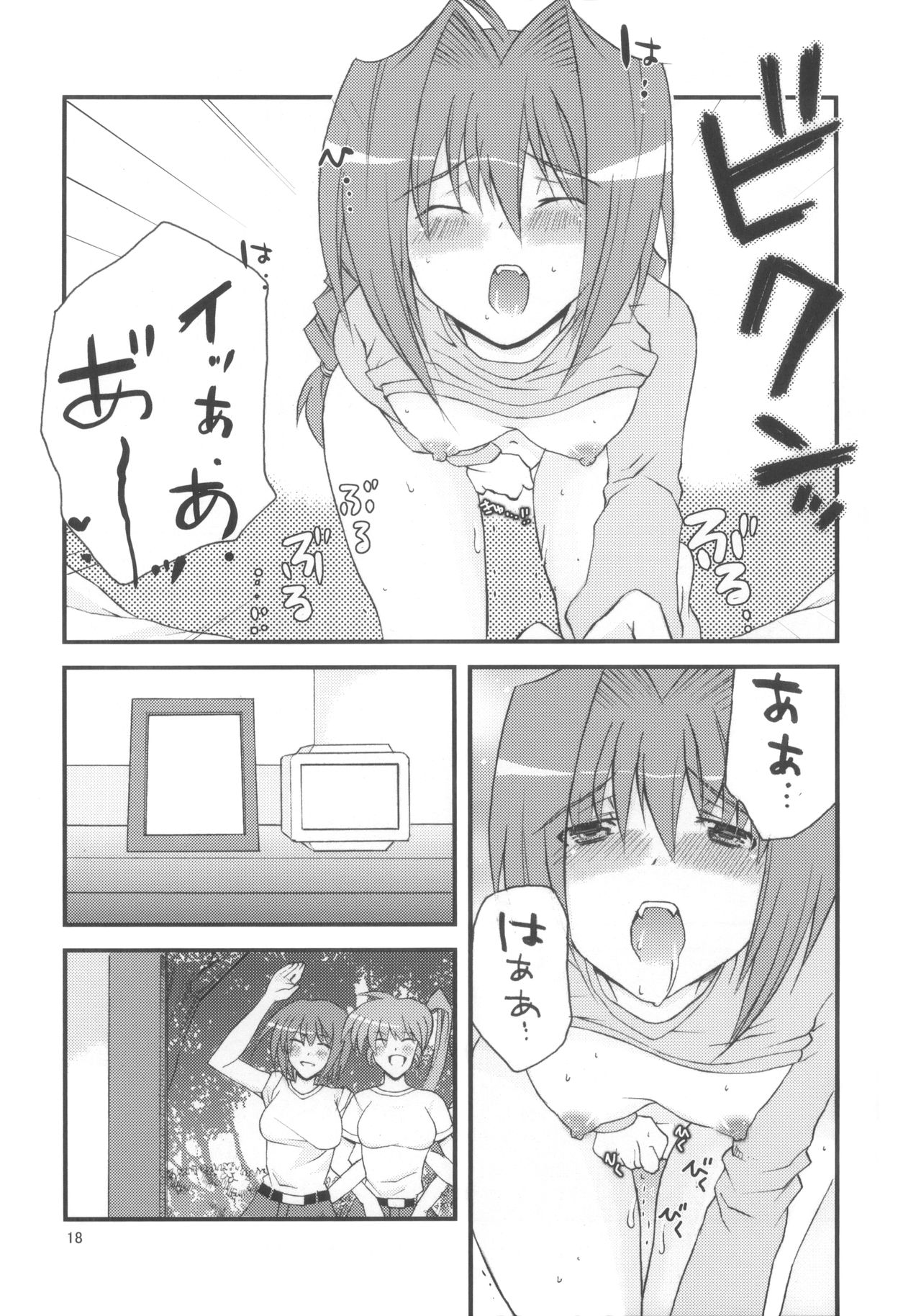 (C74) [Kai.Tenchou (Murai G)] Re birth (Mahou Shoujo Lyrical Nanoha) page 17 full