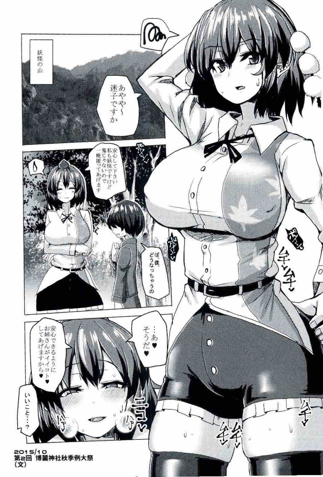 (C90) [Chinchintei (chin)] Chinchintei Copy-bon Matome (Touhou Project) page 14 full