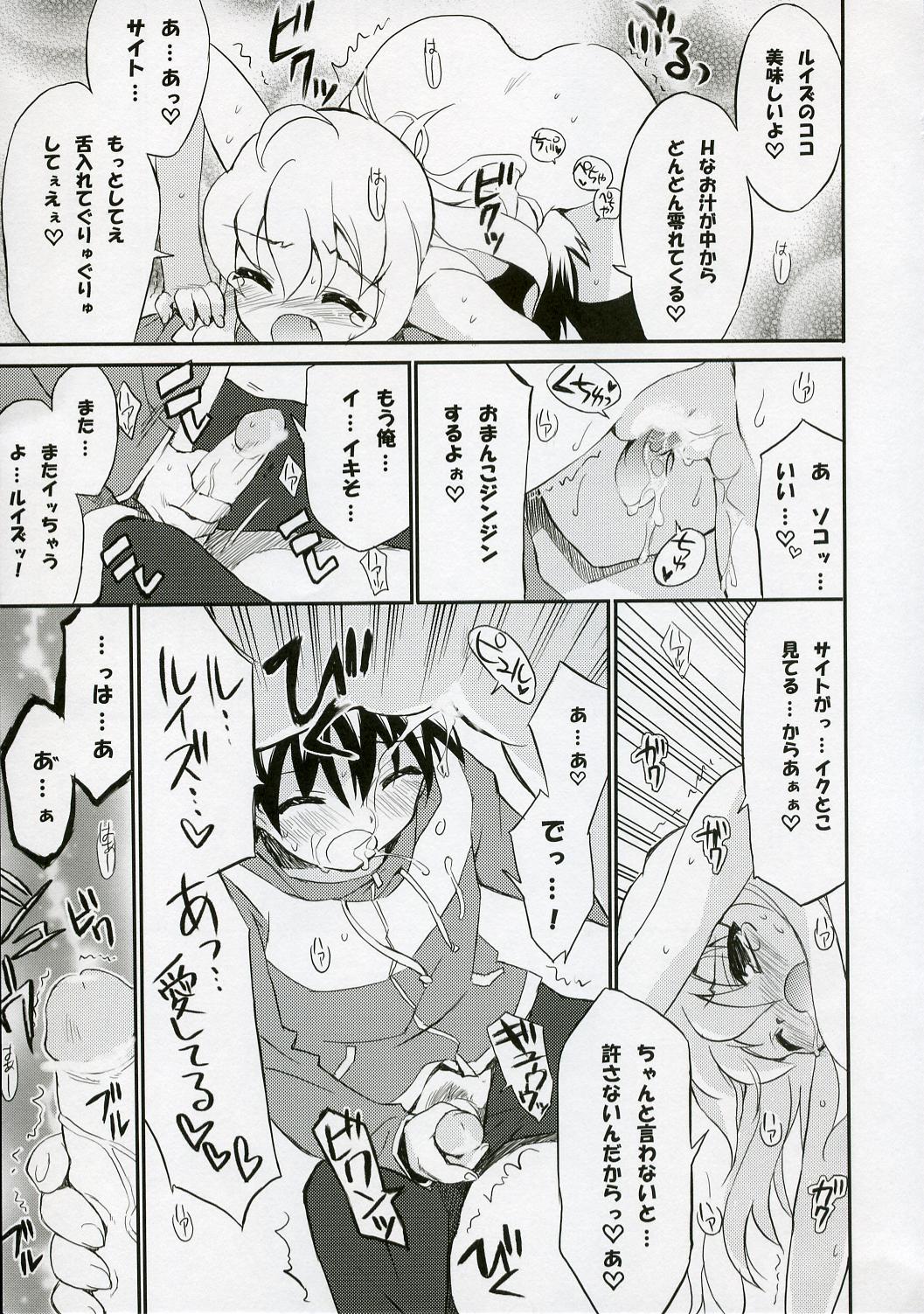 (C72) [Black Shadow (Sacchi)] BS#12 Louise to Mata Asobo - Let's Play with Louise Again (Zero no Tsukaima) page 14 full