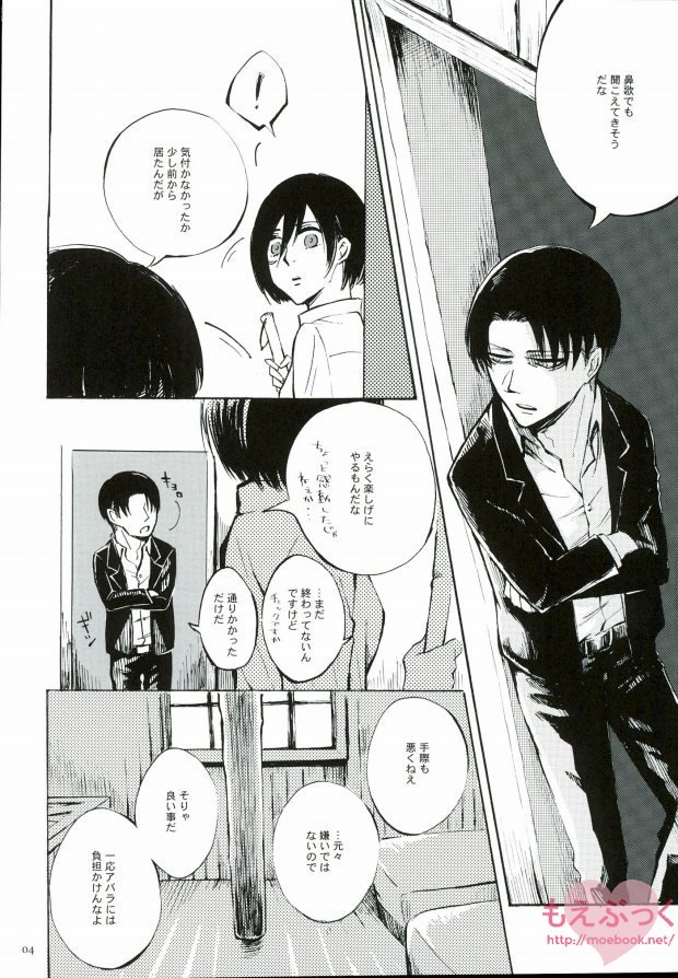 (Dai 3 Kai Hekigai Chousa Haku) [QuintalLagosta (ebgr)] Naku Kamo Shirenai (Shingeki no Kyojin) page 3 full