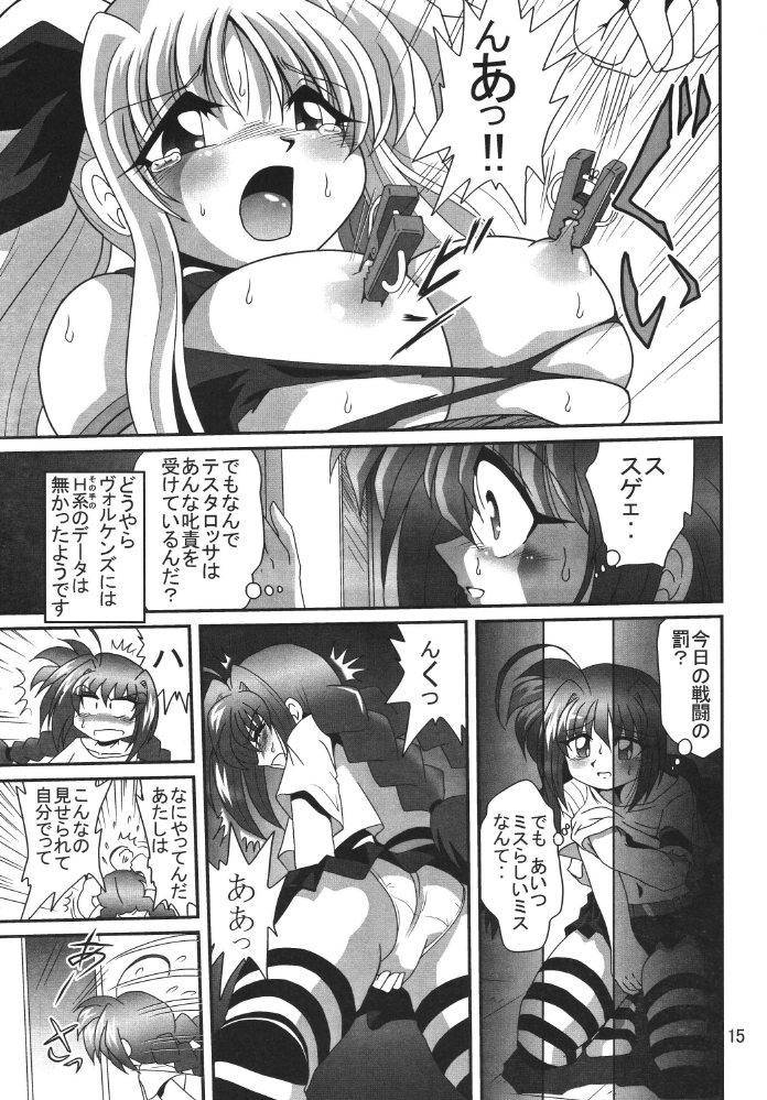 [Thirty Saver Street 2D Shooting] Storage Ignition 2 (Mahou Shoujo Lyrical Nanoha / Magical Girl Lyrical Nanoha) page 15 full