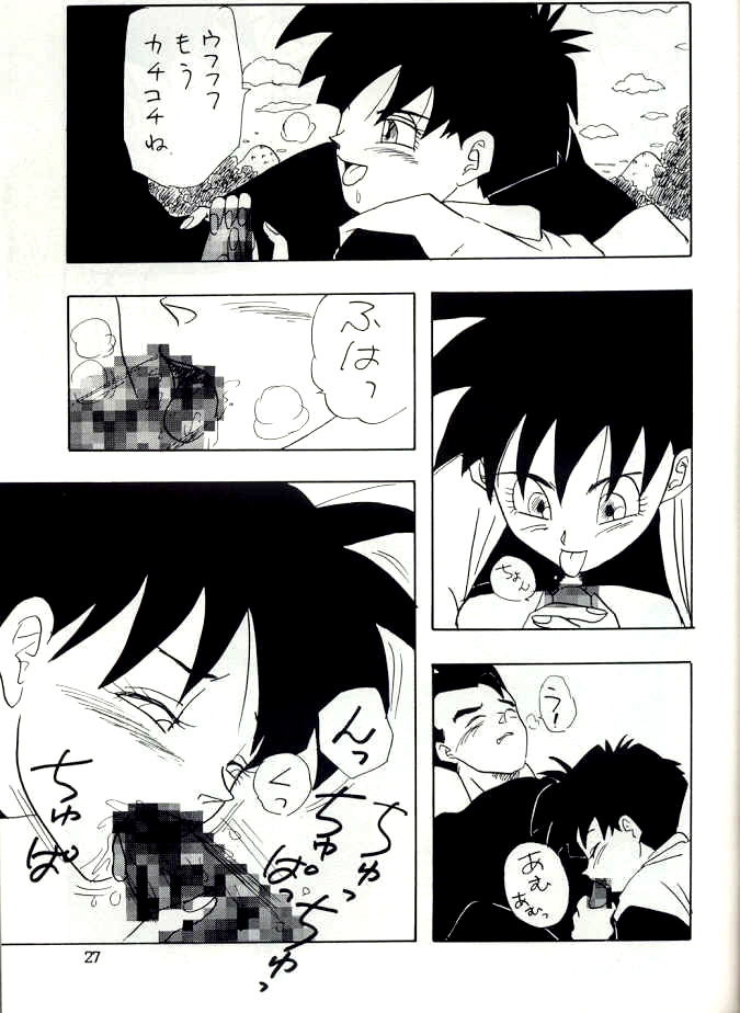 [Chirigami Goya, Fusuma go Ten (Shouji Hariko)] YYY (Dragon Ball) page 27 full