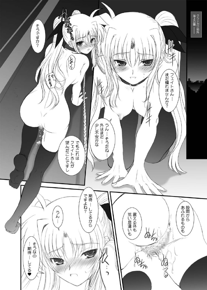 [DIEPPE FACTORY Darkside (Alpine)] FATE FIRE WITH FIRE Book. I (Mahou Shoujo Lyrical Nanoha) [Digital] page 32 full