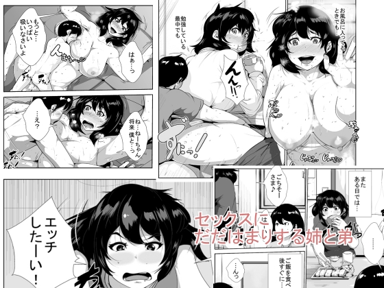 [AKYS Honpo] Sex ni dada Hamari suru Ane to Otouto [Digital] page 1 full