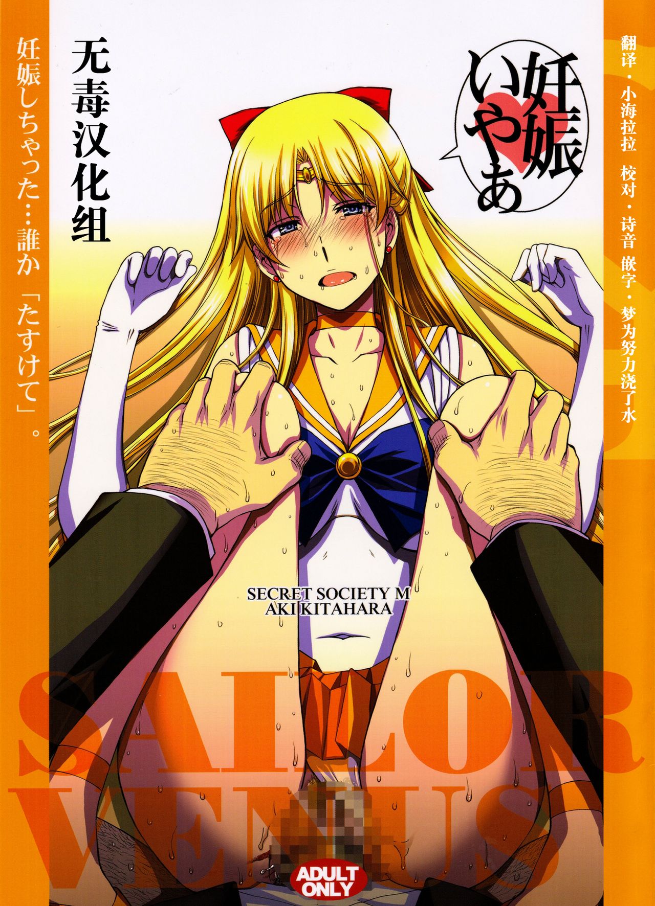 (C91) [Secret Society M (Kitahara Aki)] Ninshin Shichatta... Dareka Tasukete. (Bishoujo Senshi Sailor Moon) [Chinese] [无毒汉化组] page 1 full