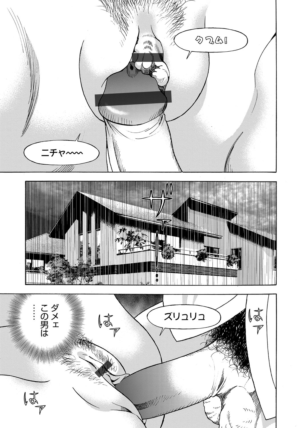 COMIC Magnum Vol. 88 page 210 full