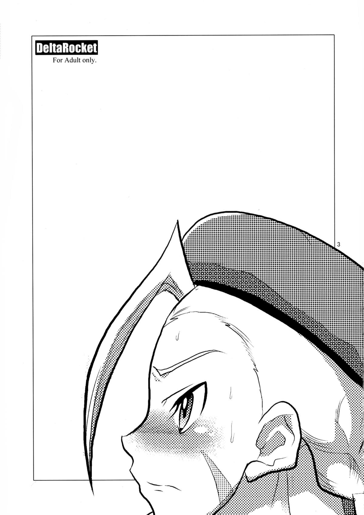 (C76) [Kuroi Inu no Daisharin (Kuroi Inu)] Delta Rocket (Street Fighter) page 3 full