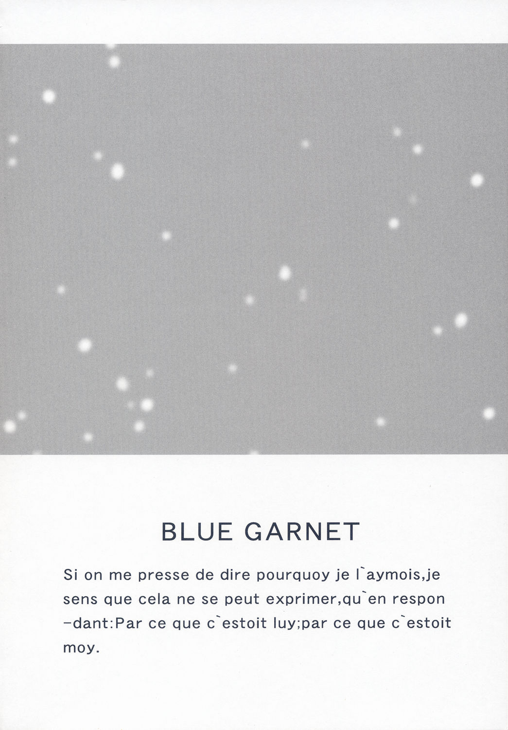 (C66) [BLUE GARNET (Serizawa Katsumi)] BLUE GARNET XVII (Fate/stay night) page 3 full